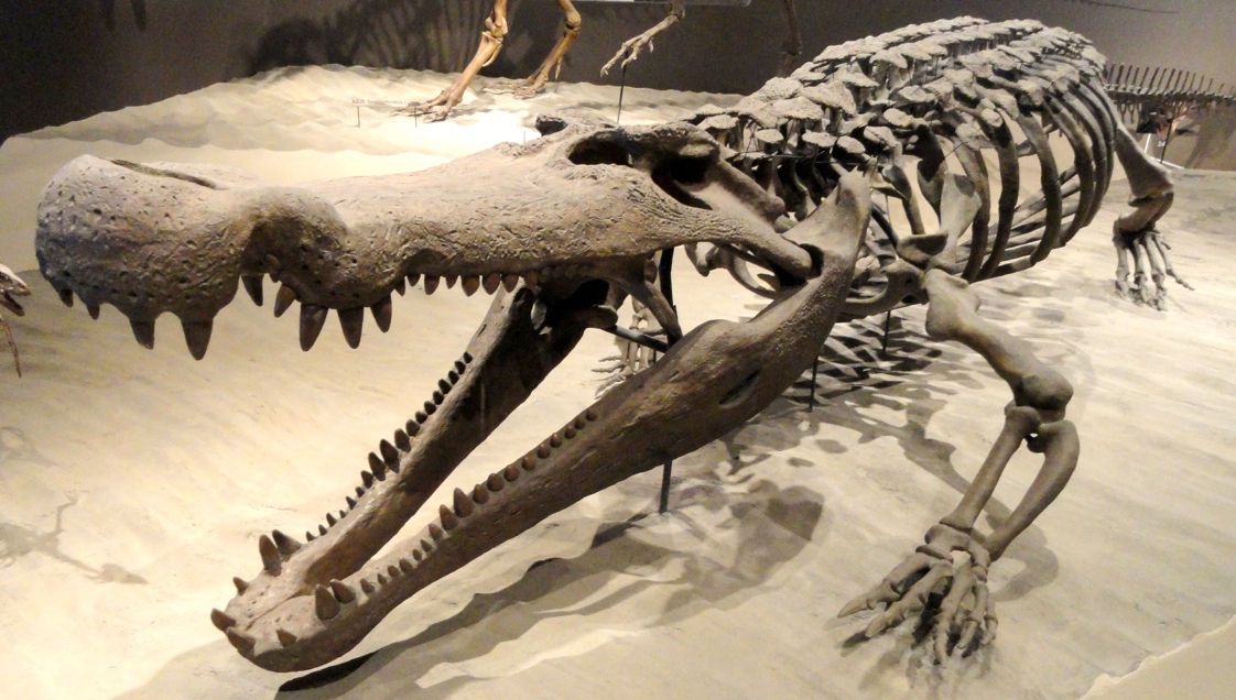 O specie de crocodili uriaşi, denumită după personaj creat de J.R.R. Tolkien