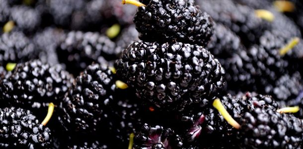 Beneficiile miraculoase ale dudelor. Află cum îţi prelungesc viaţa