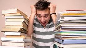 BACALAUREAT 2014 LIMBA ŞI LITERATURA ROMÂNĂ. Candidaţii vor avea DOUĂ TIPURI DE SUBIECTE