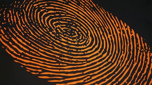 Olandezii au descoperit SECRETUL vârstei amprentelor digitale