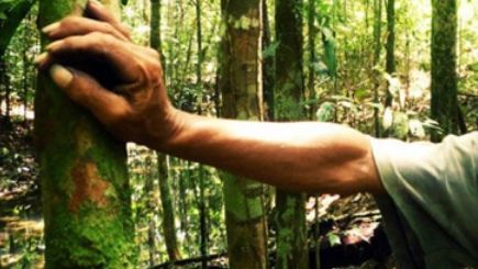 Insurgenţii au eliberat 48 de muncitori străini răpiţi în nordul Irakului