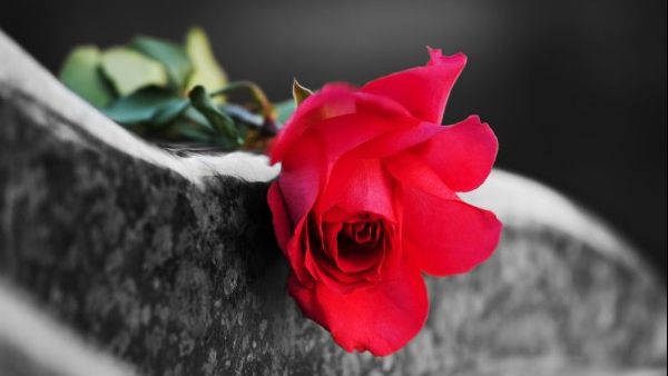 Patru baschetbaliști și un antrenor morți într-un accident