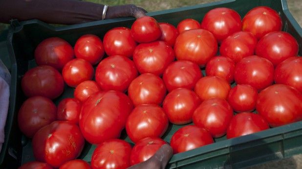 Compania Ford vrea să dea lovitura! Face PIESE DE MAŞINĂ DIN ROŞII