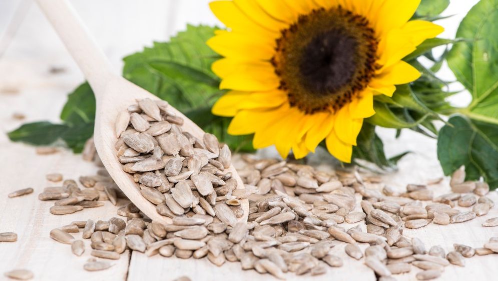 Mănânci nuci şi seminţe după-amiază şi combaţi obezitatea, studiu 