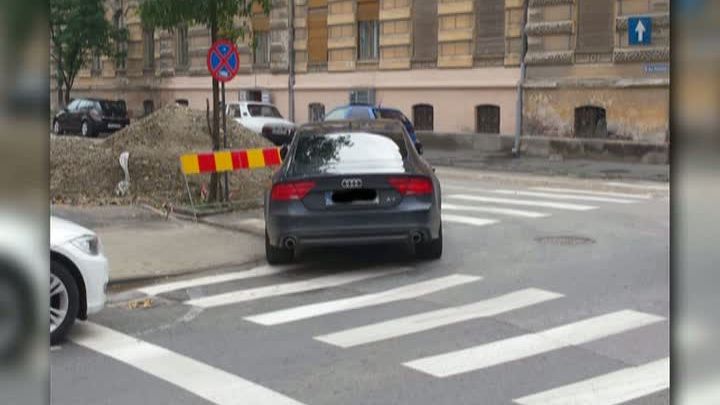 Fina preşedintelui Traian Băsescu, BIZON ÎN TRAFIC 