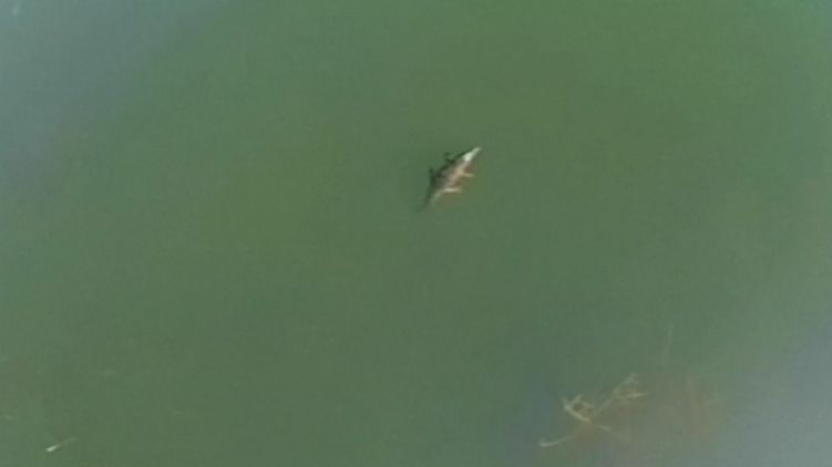 DESCOPERIRE incredibilă într-un lac din Grecia 