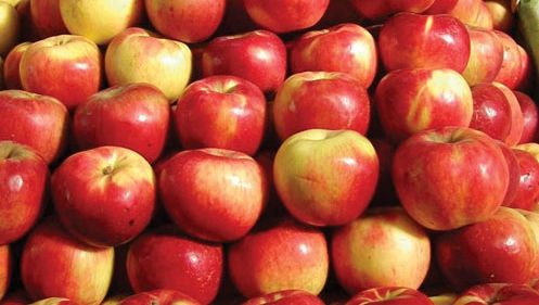 Comisia UE vrea dublarea contingentelor pentru mere, prune şi struguri de masa din Republica Moldova