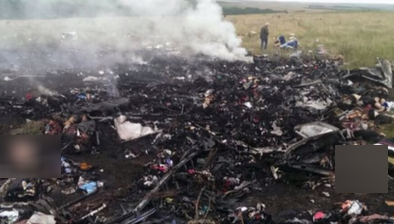 Canada denunţă o responsabilitate rusă în urma prăbuşirii zborului MH17 în Ucraina