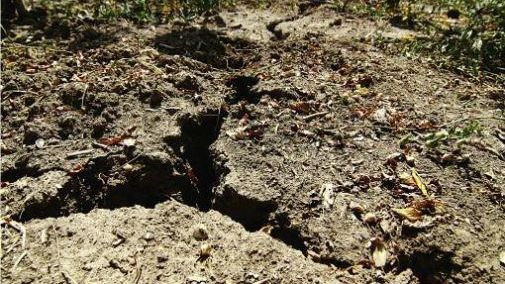 Degradarea solului pune în pericol viitorul securității alimentare globale 