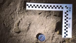 Descoperire antropologică uluitoare în Bihor. Cele mai vechi urme de paşi din Europa