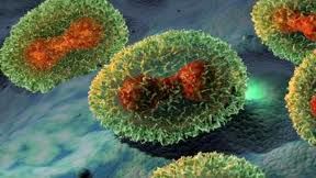 FIOLELE "UITATE" într-un laborator federal din Washington conţineau ALŢI VIRUŞI, în afară de VARIOLĂ