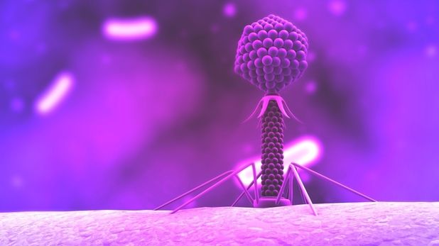 A fost descoperit un VIRUS CU ÎNSUŞIRI MISTERIOASE. Jumătate din populaţia lumii îl are în organism