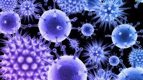 VIRUSUL MORTAL despre care cercetătorii spun că "s-ar putea propaga ca un incendiu de pădure"