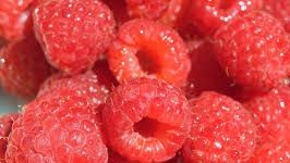 LEACURI DIN GRĂDINĂ: Zmeura, fructul tinereții veșnice