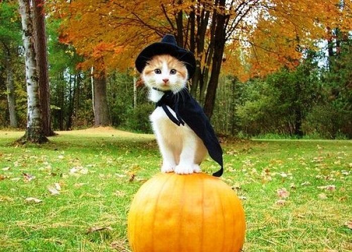 BANCUL ZILEI. Magiciana