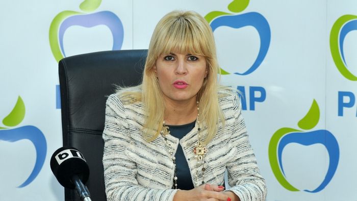 Udrea: Diaconescu a fost propus, nu votat candidat la Președinție 