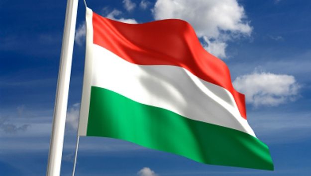 Budapesta: "Situaţia minorităţii maghiare din România nu reprezintă o afacere internă a României"