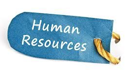 HR Insider: „Directorul de HR al României ar trebui concediat“