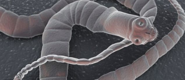 Motivul şocant pentru care o mamă i-a dat fiicei sale viermi intestinali