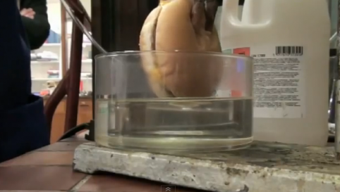 Ce se întâmplă în STOMACUL TĂU când mănânci un CHEESBURGER