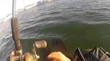 INCREDIBIL. Un vas de pescuit a prins în plase un avion 