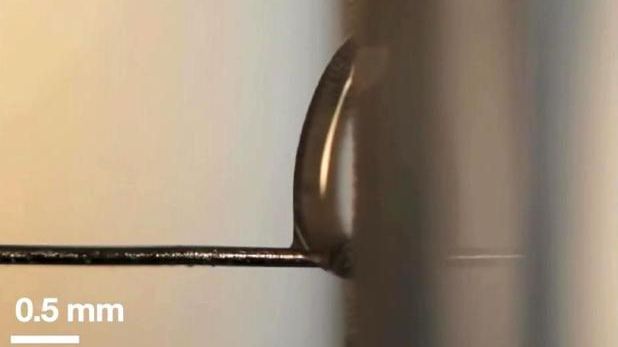 EXPERIMENTUL care sfidează LEGILE GRAVITAŢIEI. Descoperirea neaşteptată făcută de cercetători