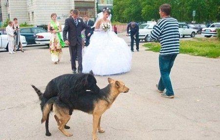 BANCUL ZILEI.  Bâlbâitul   