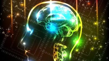 Creierul uman: 10 mituri uluitoare. Ce este adevărat şi ce este fals