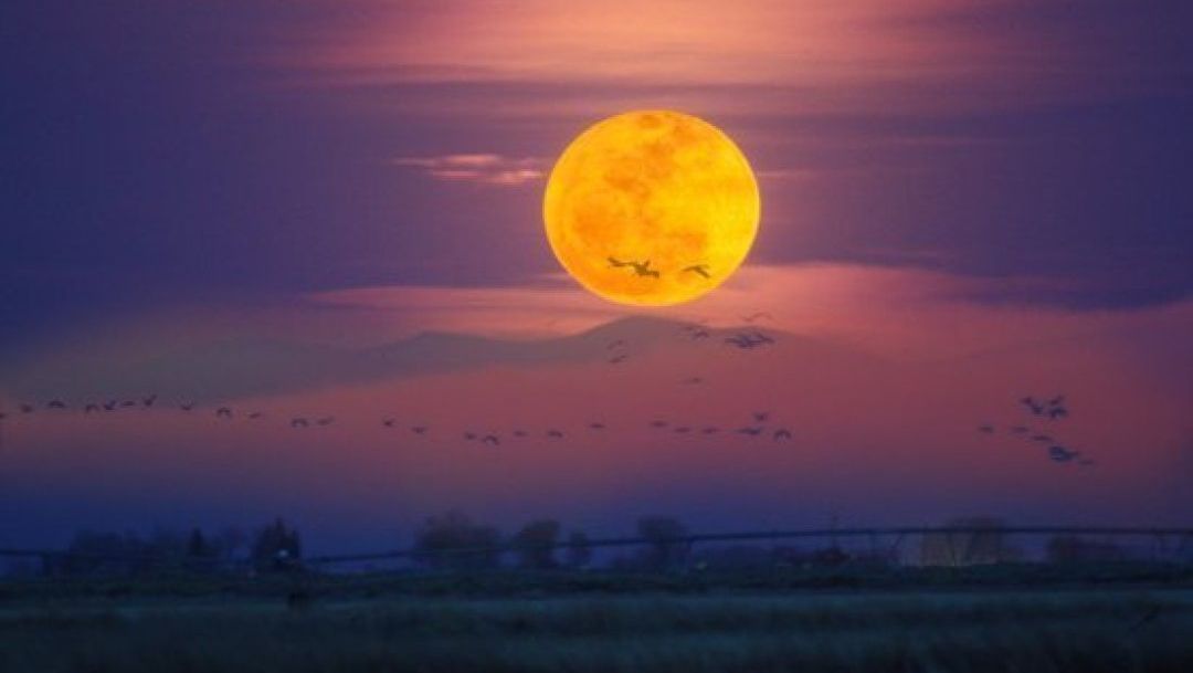 "SUPER LUNA", fenomenul care va putea fi observat în noaptea de duminică spre luni