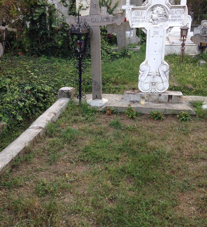 Dan Negru, foarte revoltat: "Să le fie rușine"