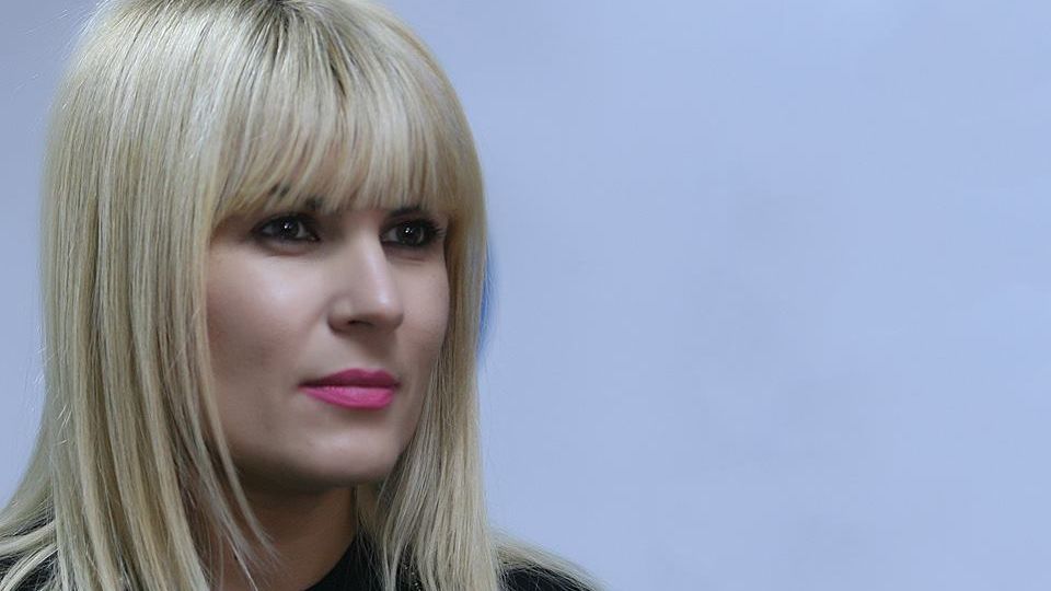 Udrea: Guvernul Ponta pierde bani europeni 