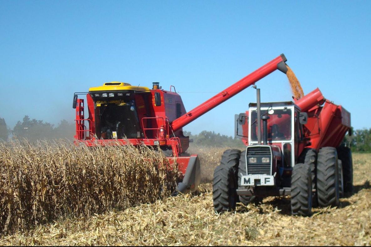 SURPRIZĂ de coșmar pentru agricultori. Numai asta le lipsea