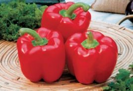 Leacuri din grădină: ARDEIUL 