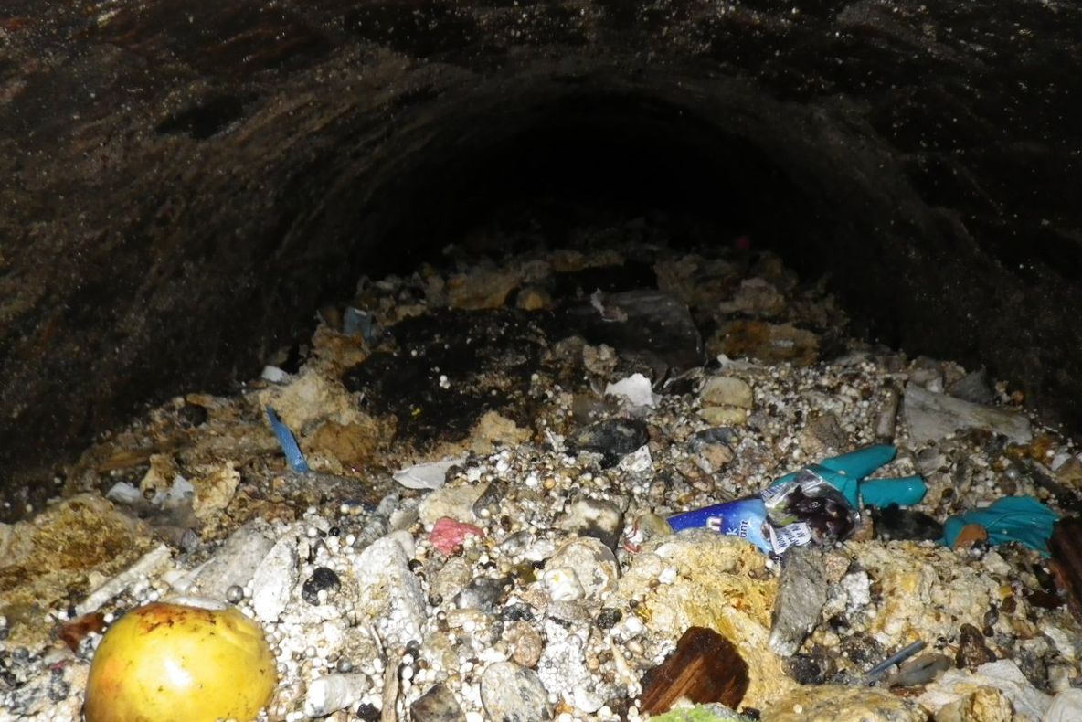 Ce au întâlnit angajaţii de la salubritate în canalizarea din LONDRA. AU ÎNCREMENIT. Era MONSTRUOS!