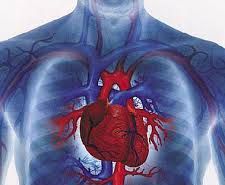 Boala care UCIDE 60% dintre români. Care sunt principalele cauze ale apariţiei bolii