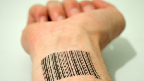 Grup infracțional specializat în traficul de migranți, destructurat 