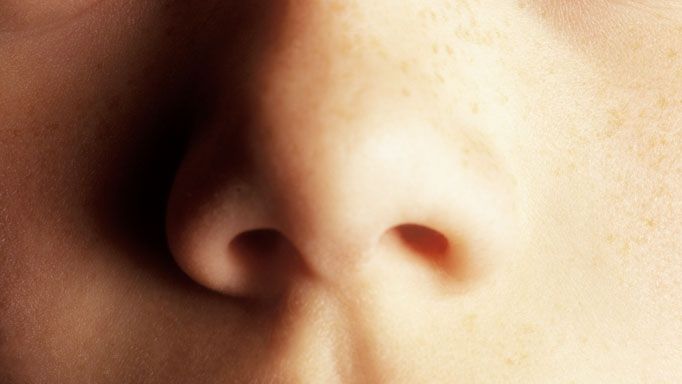 INCREDIBIL: Un medic ORL-ist colecţionează obiectele SCOASE DIN ORGANELE PACIENŢILOR