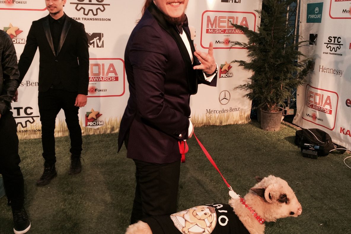  FOTO EXCLUSIV! What’s UP a apărut la Media Music Awards cu o OAIE!