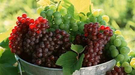 Cum să slăbeşti mâncând fructe de toamnă