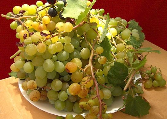 Ce se întâmplă dacă mănânci STRUGURI în fiecare zi 