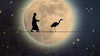 Ce inseamna cand visezi ca zbori