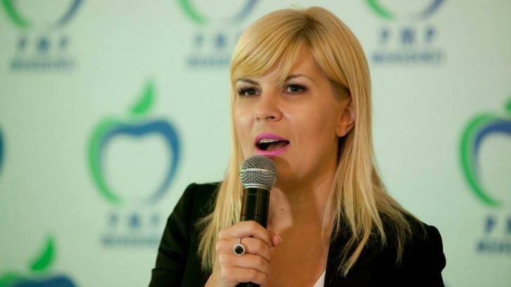 Udrea: PMP va vota în plenul Camerei pentru ridicarea imunităţii deputatului Vreme