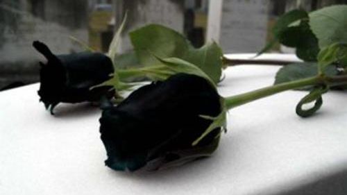 A murit! Tragedie fără margini