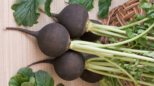 UIMITOR! De ce problemă de sănătate scapi dacă bei suc de ridiche neagră