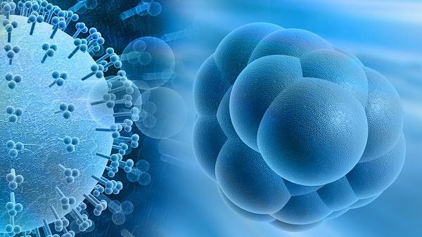 Cele mai eficiente alimente care ajută la tratarea cancerului. Iată ce să mănânci în mod constant!