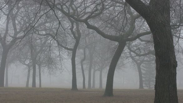 La munte va ploua! PROGNOZA METEO pe trei zile 