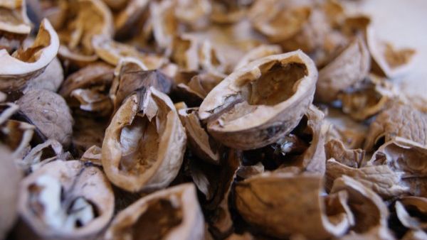 NU arunca cojile de nuci! Sunt un MIRACOL pentru sănătate