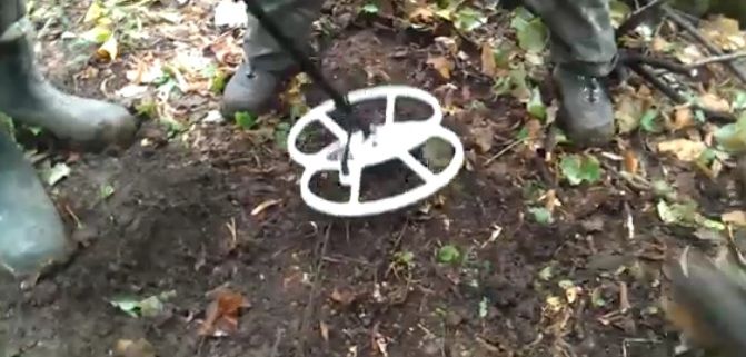 Un pensionar din Mediaş a găsit o comoară în pădure