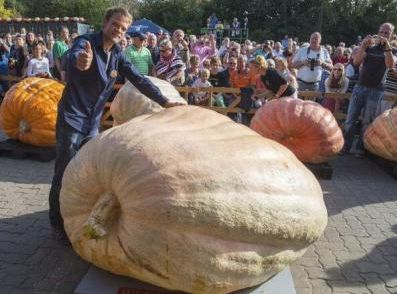 Cât cântărește cel mai mare dovleac din lume