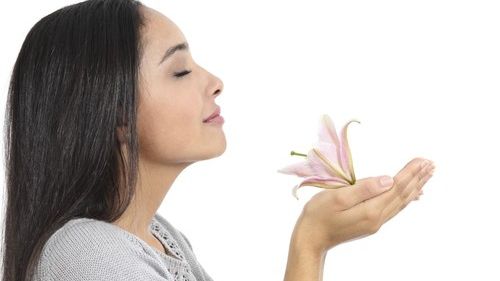 Ce spune nasul despre sănătatea ta